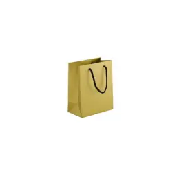 230gsm Matte Gift Bag - 14cm Gold Side